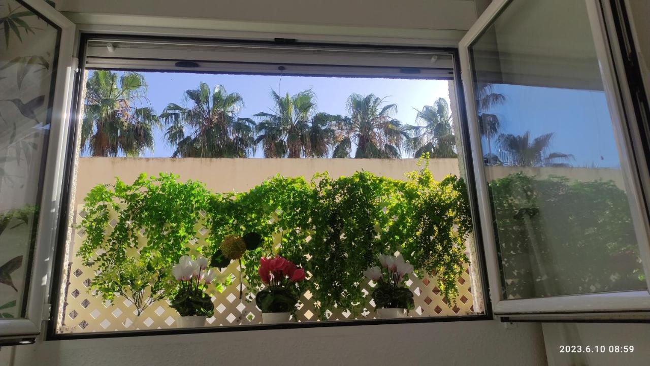Апартаменти Rosalia Playa San Cristobal Wifi Netflix Альмуньєкар Екстер'єр фото